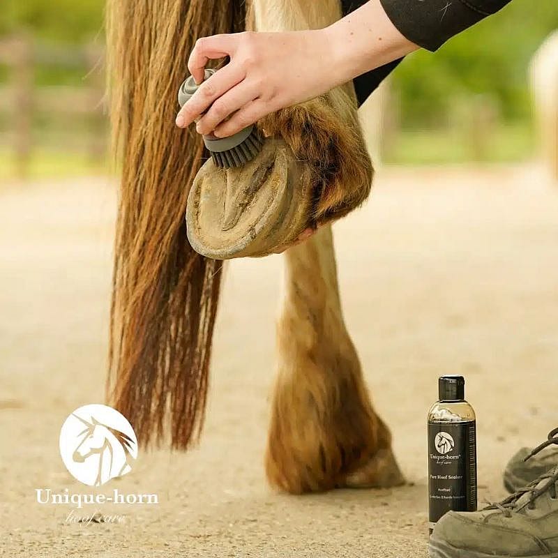 horse, horse grooming, hoof care, hoof pick, hoof oil