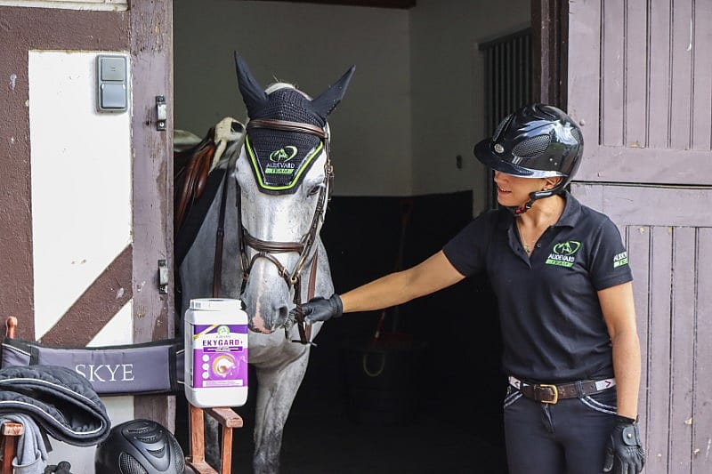 Audevard Ekygard+ Maag Stress Paard