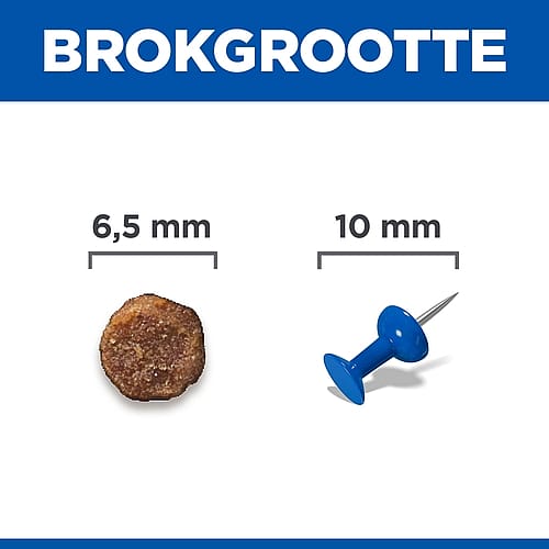 knop, spijker, piercing, tandimplantaat?, k korrels?