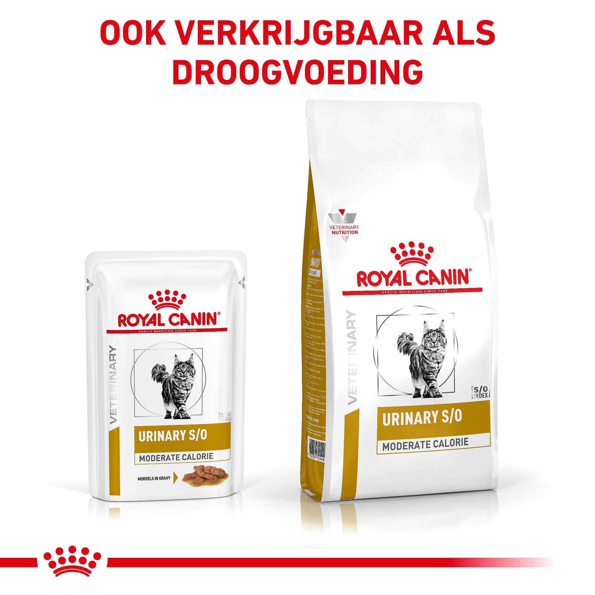 Royal Canin Urinary S/O Moderate Calorie Kat 12 x 85 gram maaltijdzakjes - Morsels in Gravy