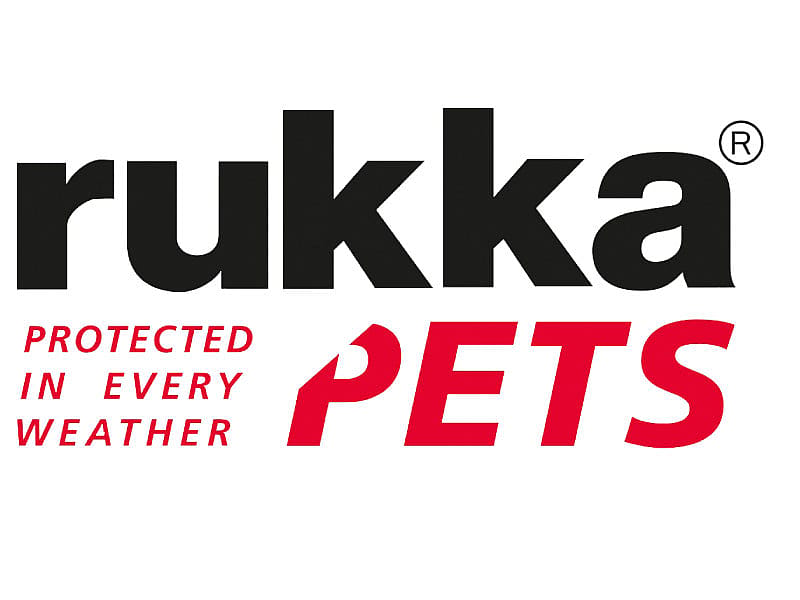 Logo, Tekst