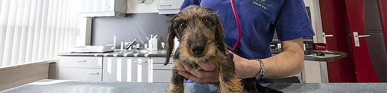 Vaccicheck titerbepaling