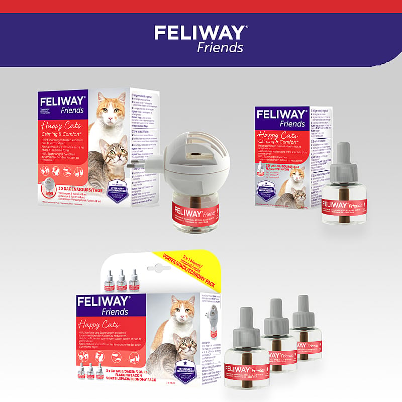 Feliway Friends