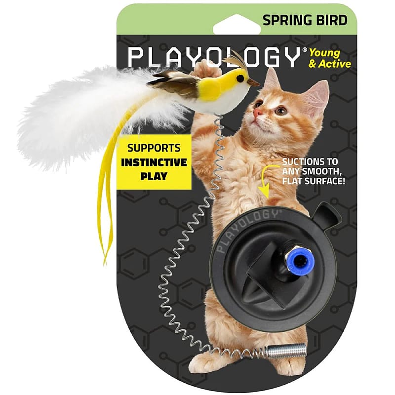 kat, speeltuig, kattenaccessoire, halsband-spreuken, kattenspeelgoed
