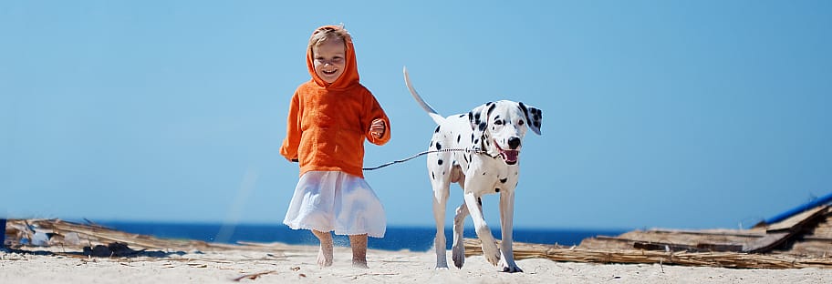 Advantix teek vlo hond