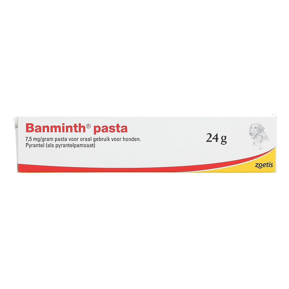Banminth Ontwormpasta Hond tube 24 gram