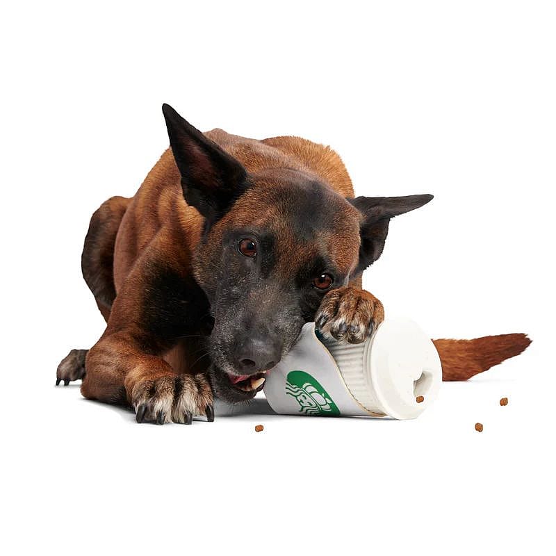 hond, kauwvoer, kauwklauw, kauwbeugel, papieren beker