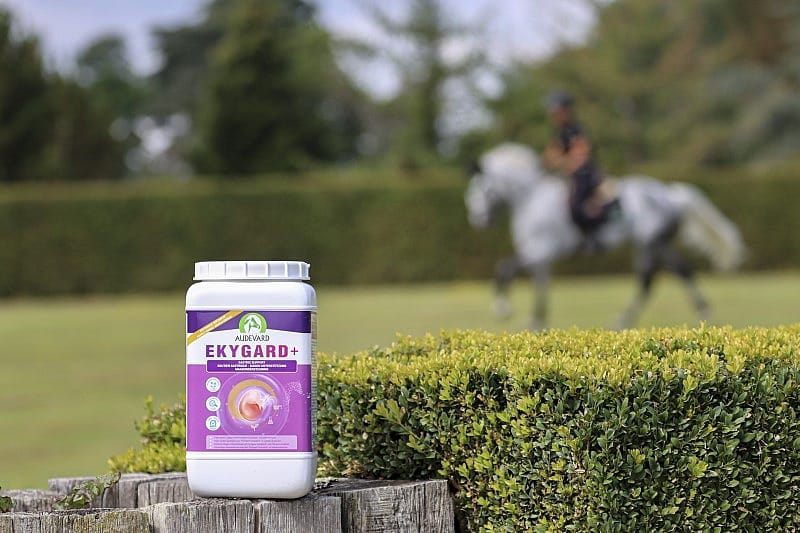 Audevard Ekygard+ Maag Stress Paard