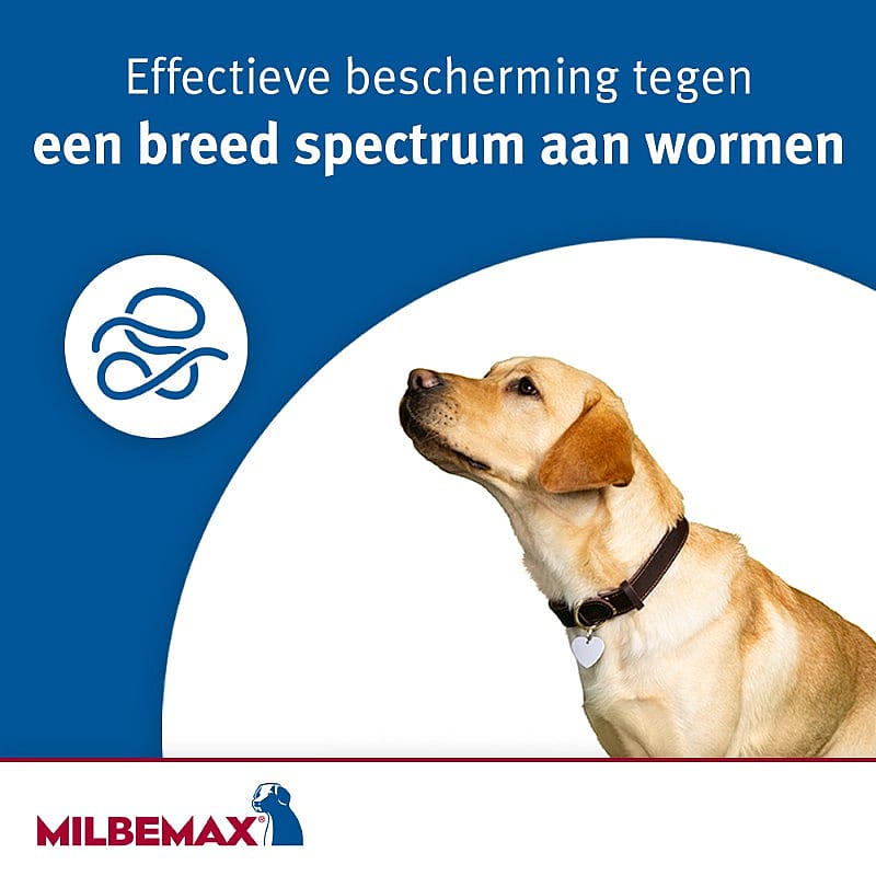 Milbemax Kleine Hond Puppy Ontwormingstabletten 4 tabletten