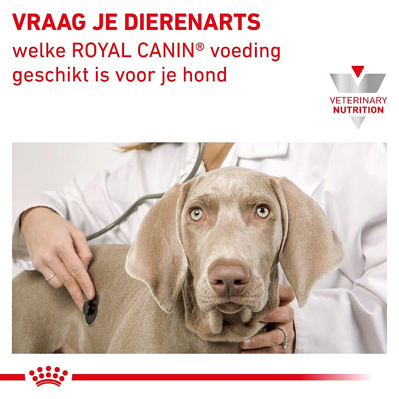 Royal Canin Renal Hond 12 x 100 gram maaltijdzakjes