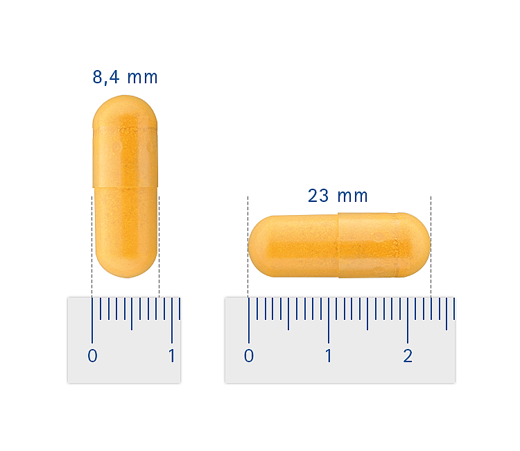 Pharmox Groenlipmossel Hond en Kat 60 capsules