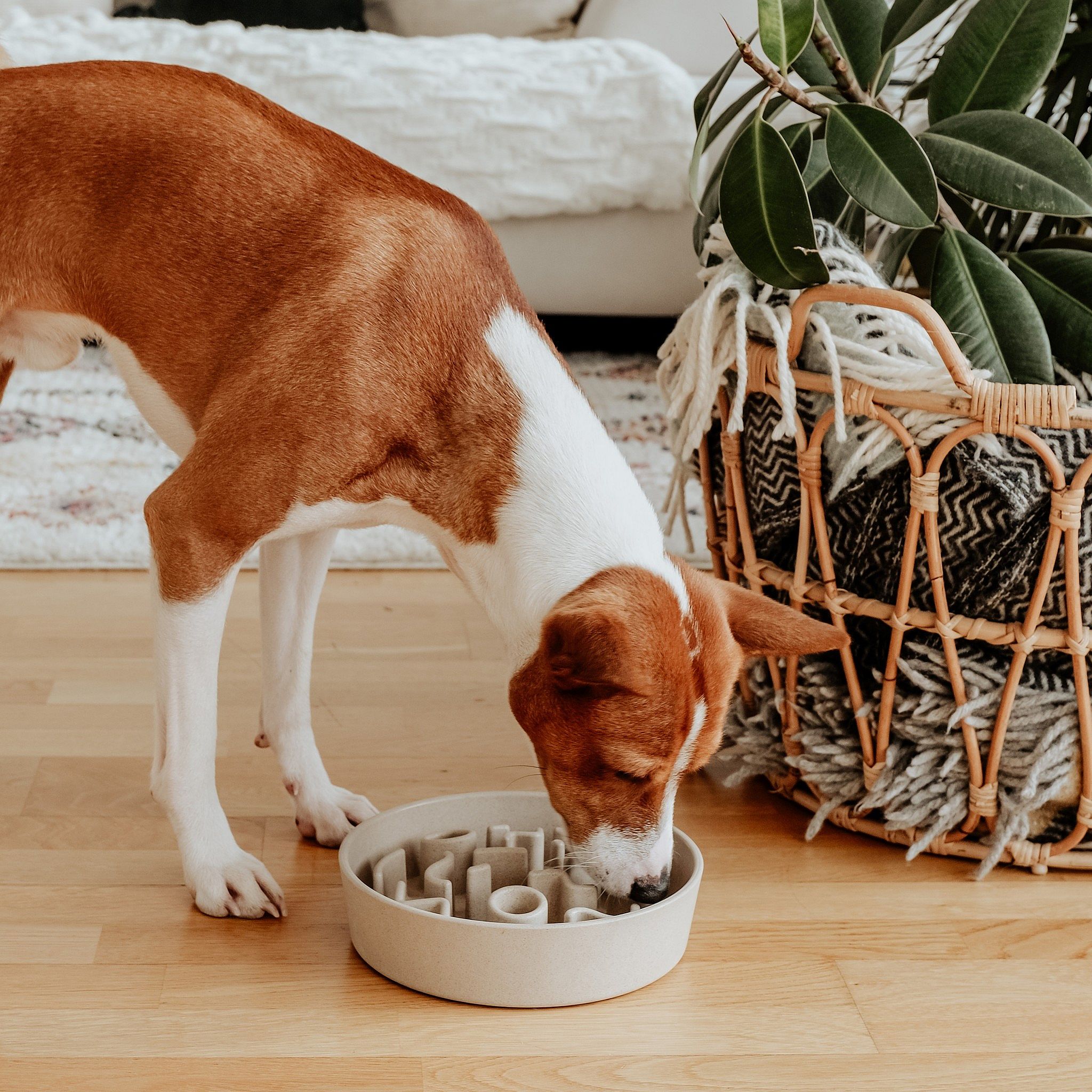 District 70 Bamboo Anti-schrok Voerbak Hond Merengue - Ø21 cm (1200 ml)