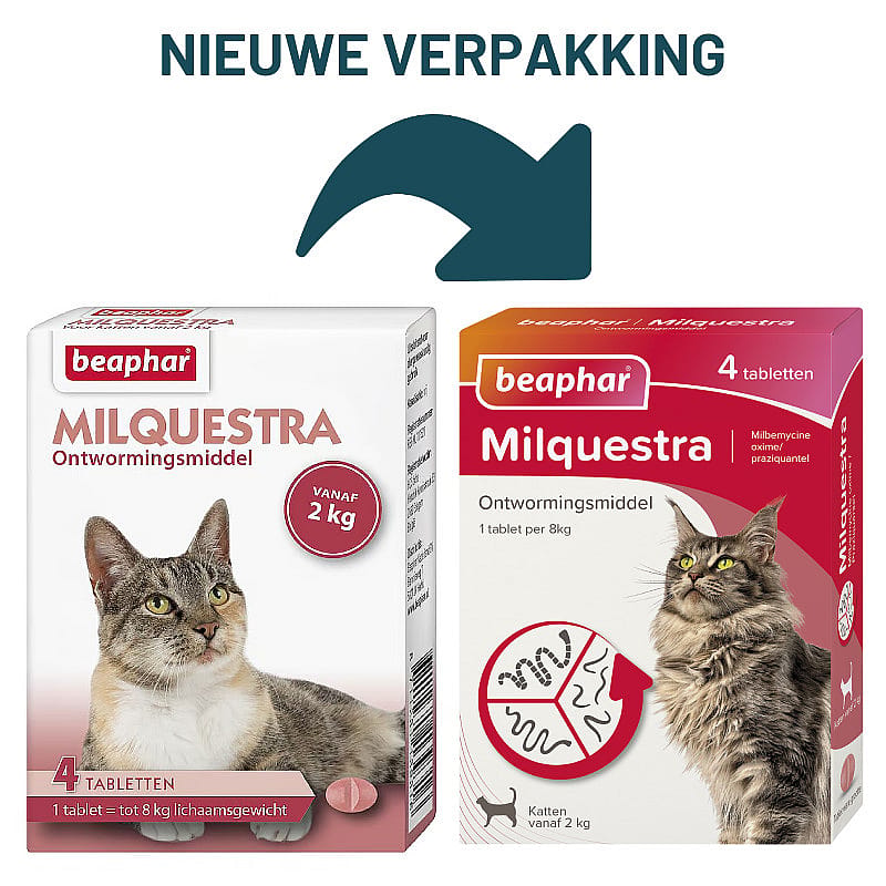 Beaphar Milquestra Ontwormingstabletten Kat 4 Tabletten - Kat 2 - 12 kg