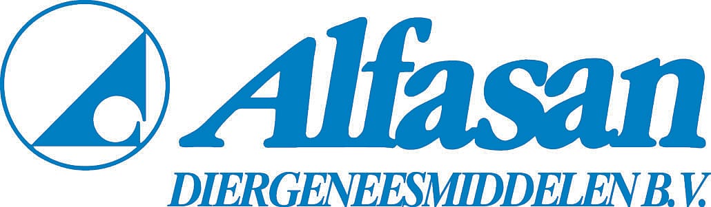 Logo, Logo