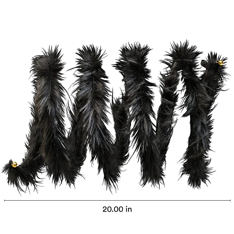 veren, zwart, verenkoord, boa, pluis