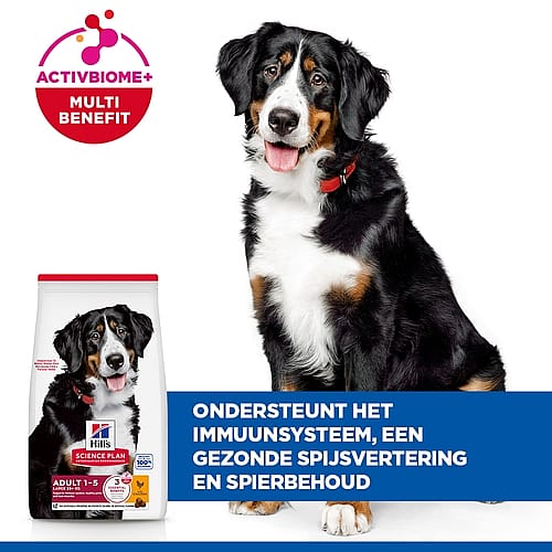 hondensvoer, voerbak, draagbaar, glans en kleur, immuniteit