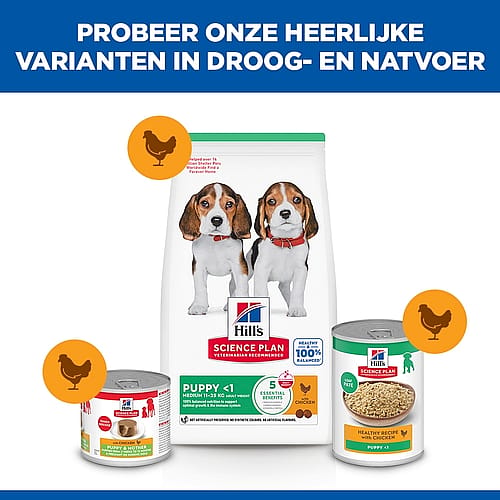 dog food, puppy food, dry food, canned food, nutrition