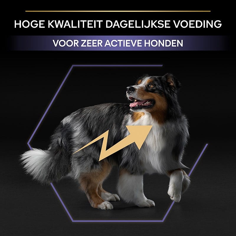 Purina Pro Plan All Sizes Adult Performance Hondenvoer 14 kg