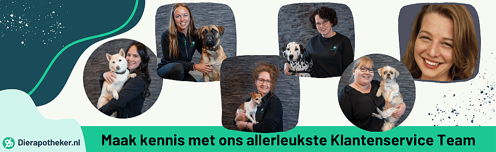 Nikki is de Sherlock van de klantenservice