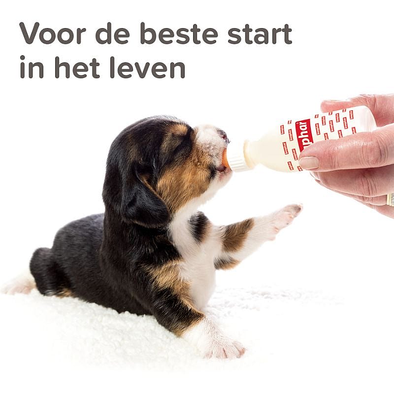 Beaphar Lactol Voedingsset (zuigflesje + speentjes) Hond Kat