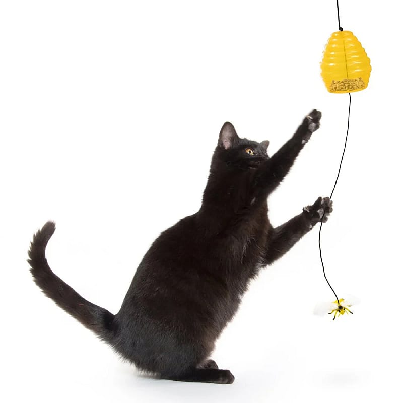 kat, kattenspeelgoed, touw, beestje, vogelhuisje