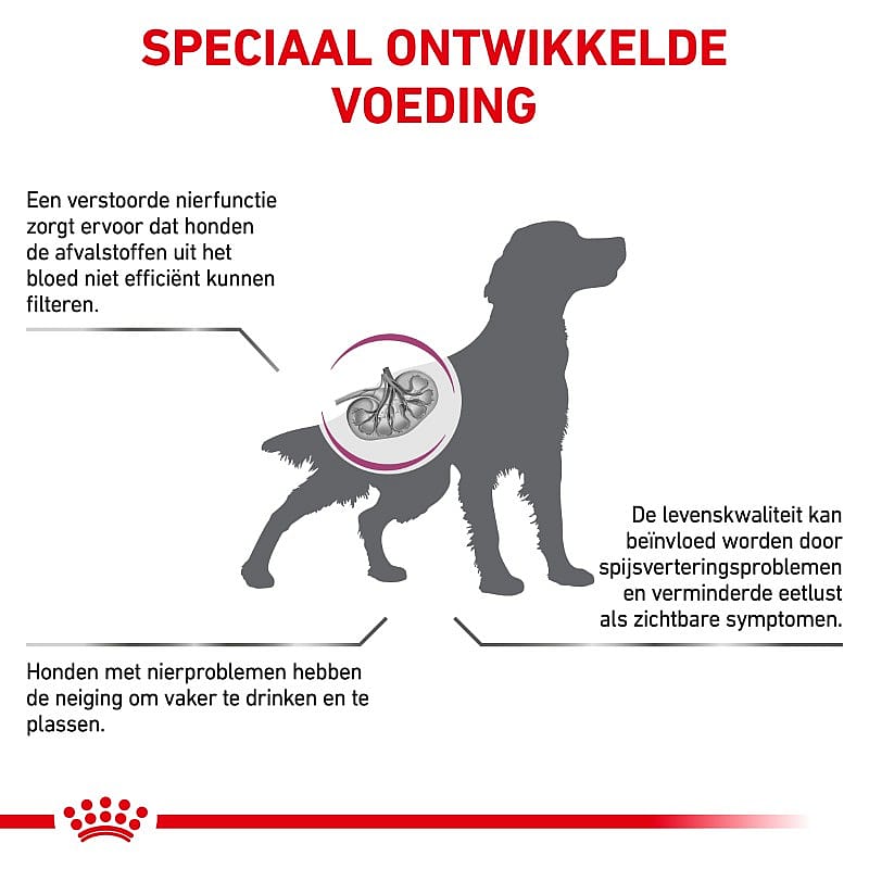 Royal Canin Renal Special Hond