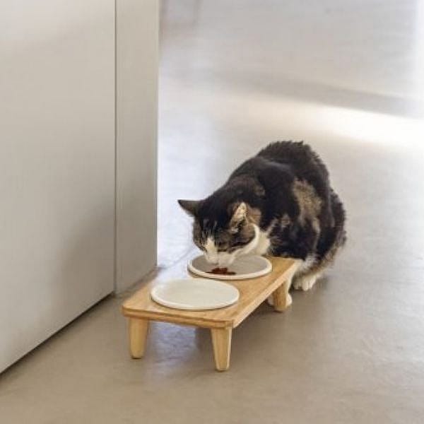 Designed by Lotte Houten Dinerset Djeha Kat