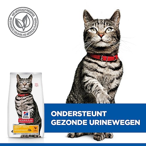 Hill's Science Plan Urinary Health Adult Kattenvoer Kip