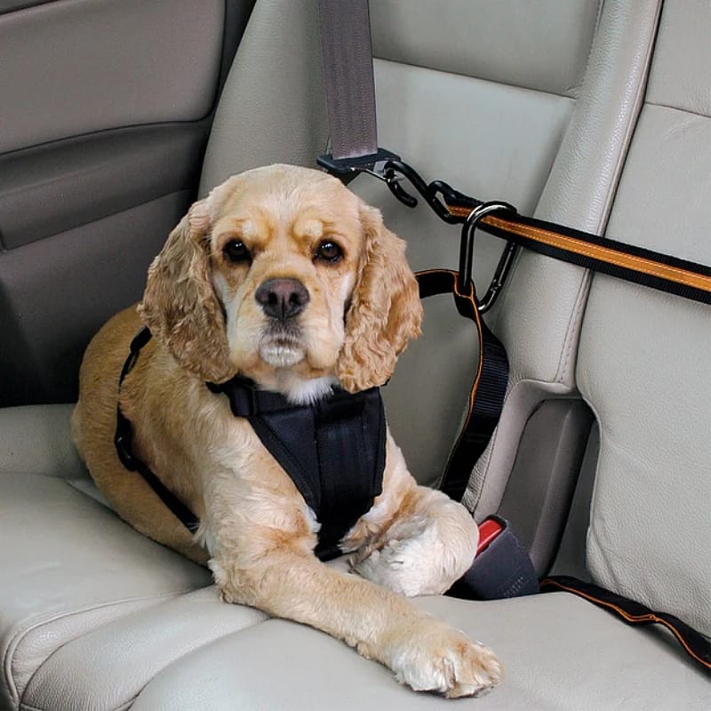 Kurgo Auto Zip Line Combo Hond