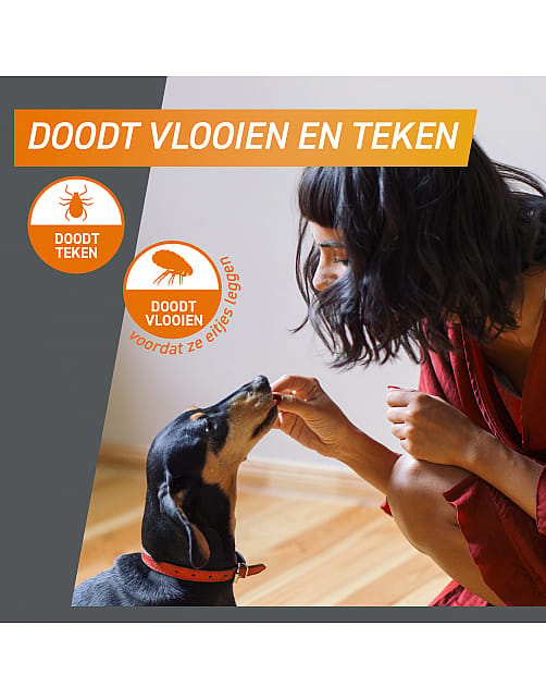 Frontpro Vlo Teek Kauwtablet Hond