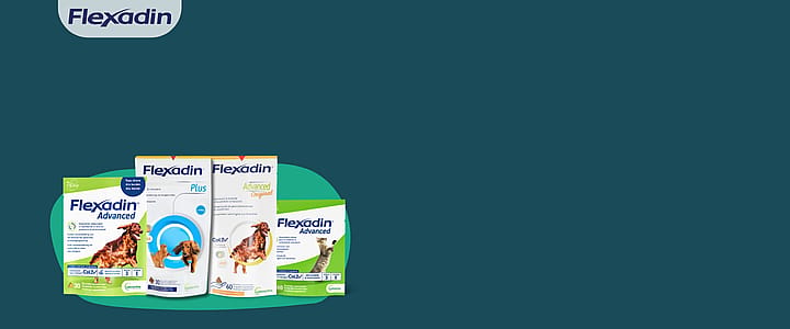 gewrichtsupplement, Flexadin, dierenvoeding, verpakkingsdoos
