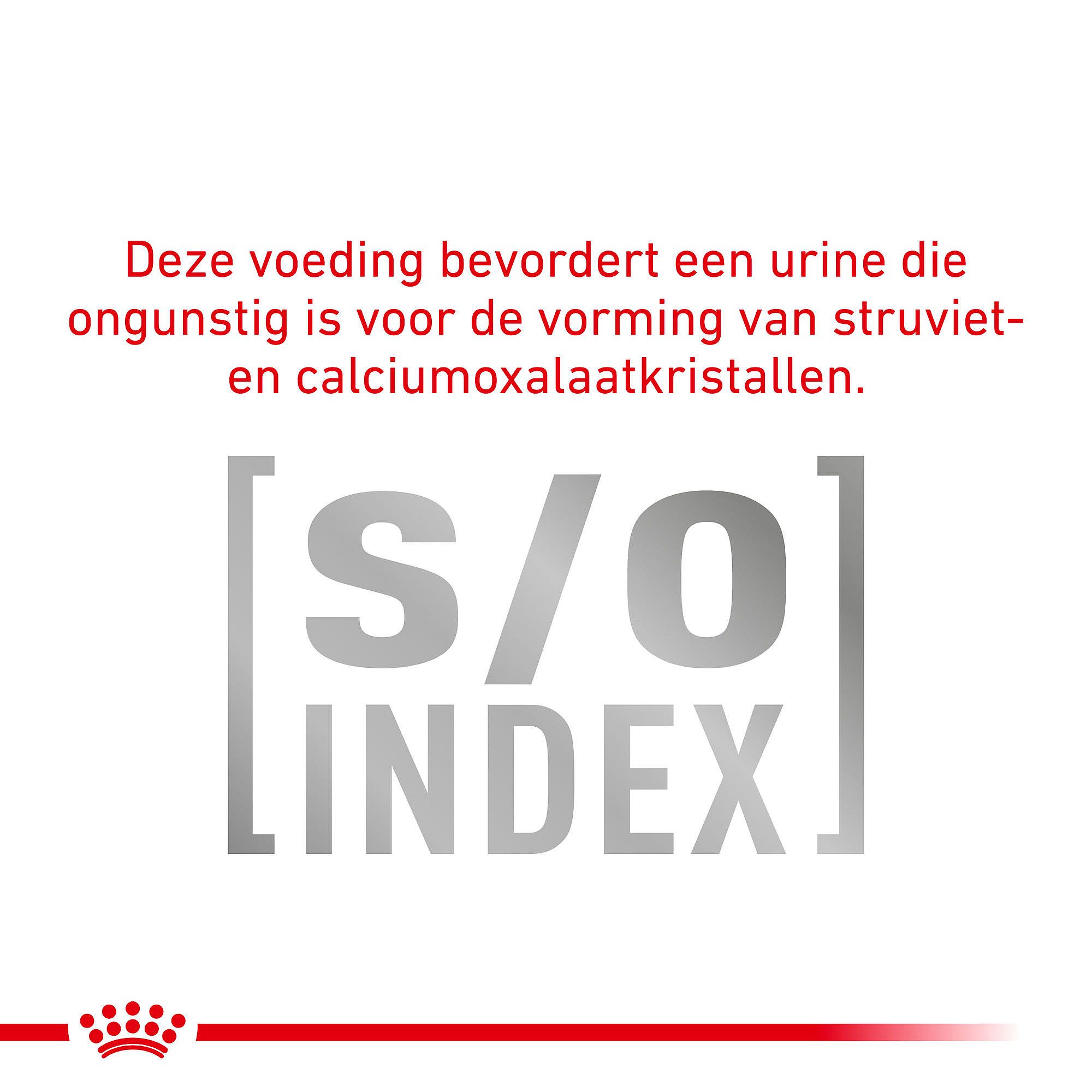 Royal Canin Diabetic Kat