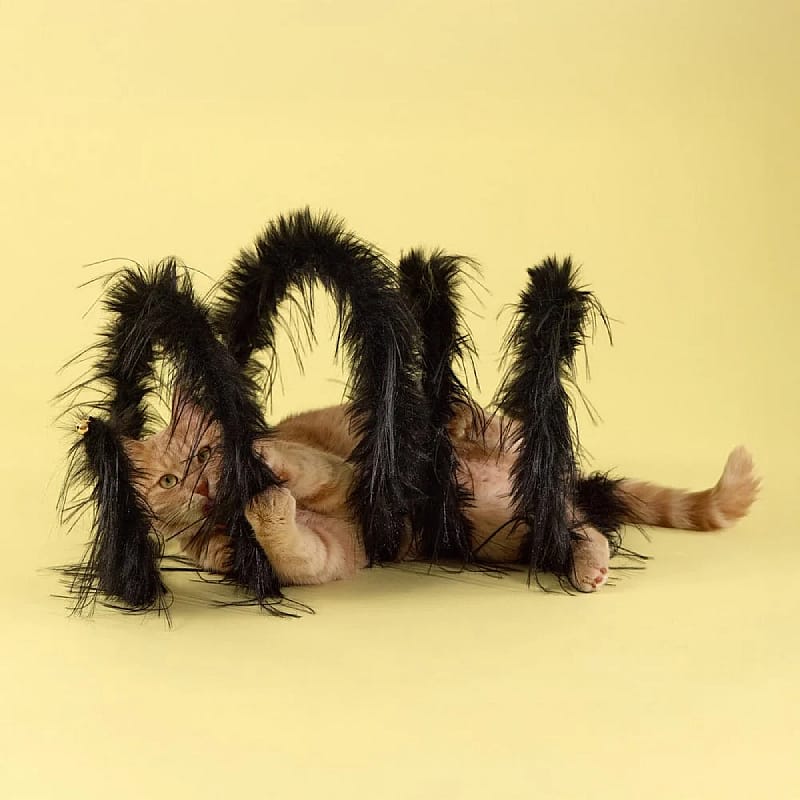 kat, kattenfiguur, dierenspeelgoed, speelgoedgaaf, gezondheidsniveau