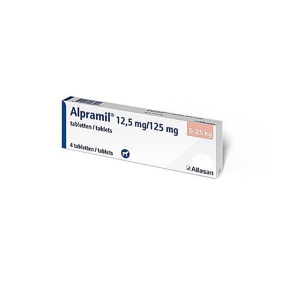 antibiotic, tablet, tabletverpakking, medicatie, 4 stuks