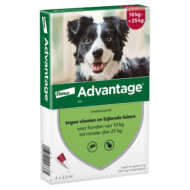 Advantage Spot-on Hond 250 mg - 10 - 25 kg