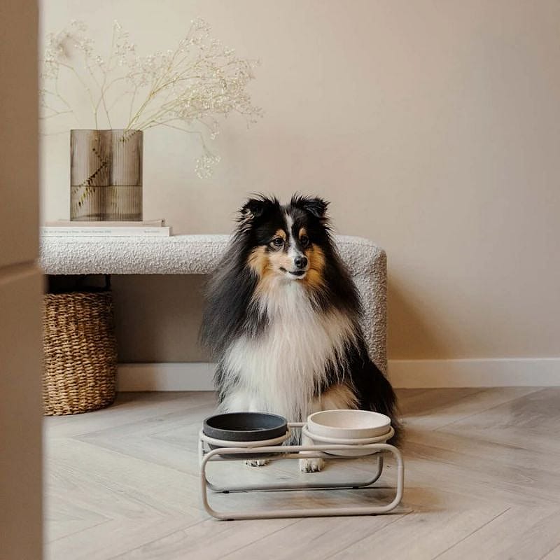 District 70 BUTLER Voerbakstandaard Hond Beige S