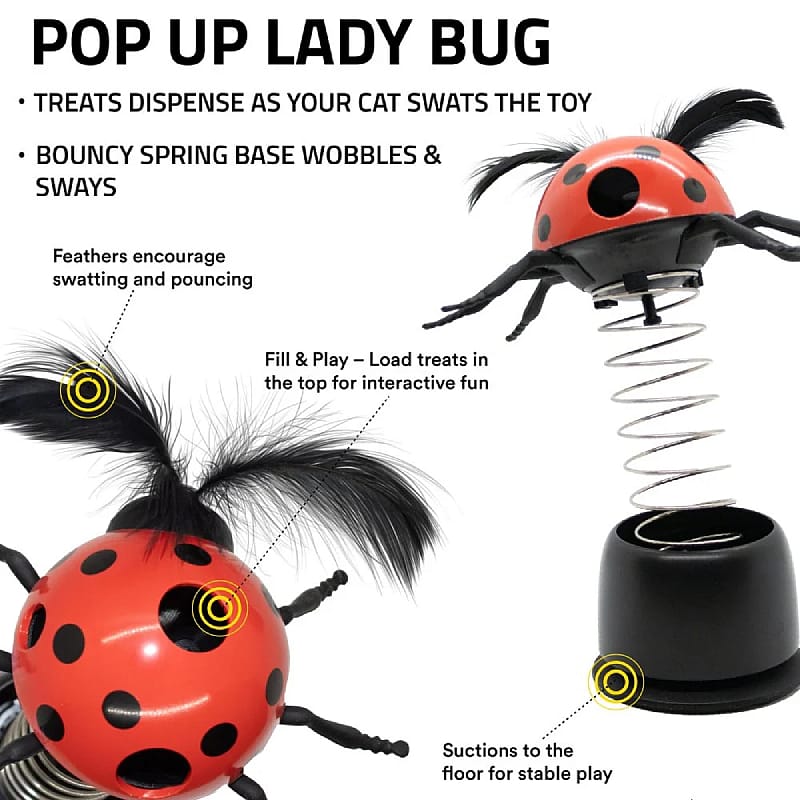 ladybug, spring, battery, interactive, toy