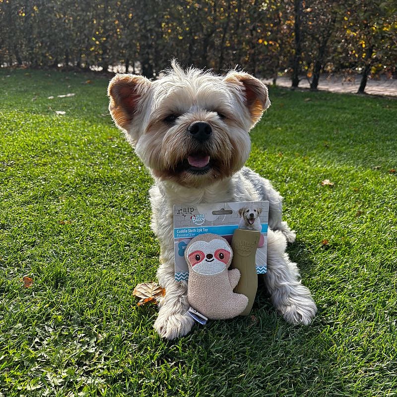 AFP Little Buddy Cuddle Sloth luiaard Hond Puppy