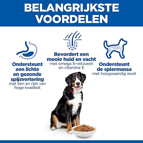 dog, pet food, kibble, bowl, puppy