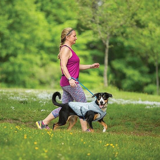 Kurgo Dog Core Cooling Vest Icy Blue Hondenkoelvest
