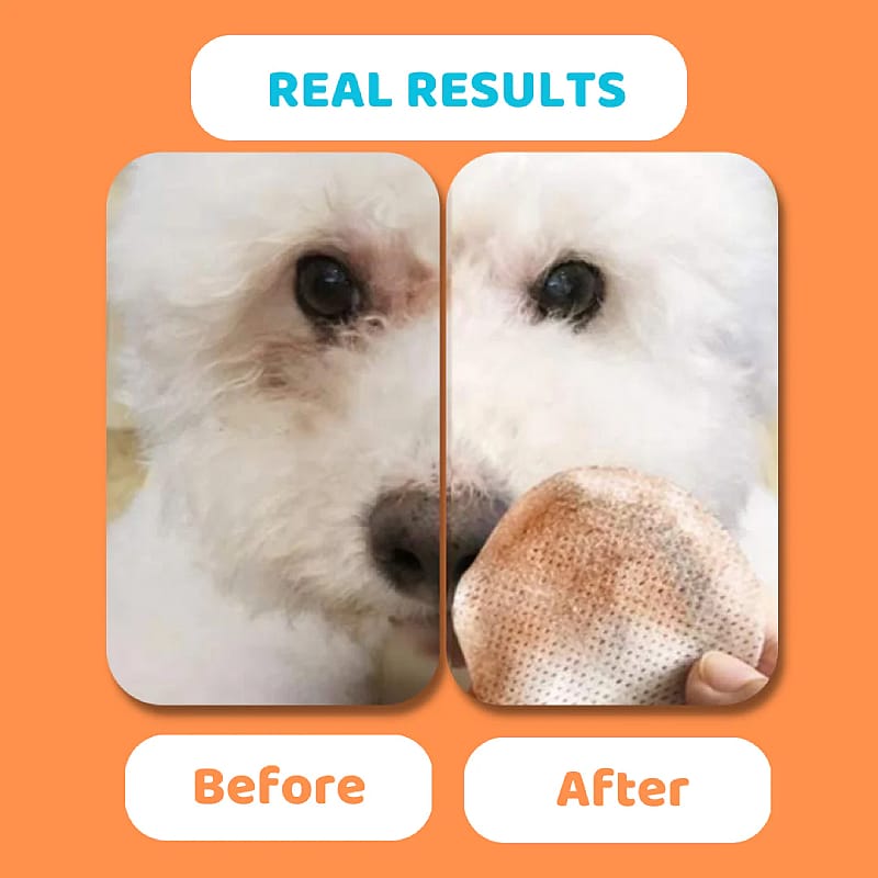 DogsLife Eye Wipes Hond 100 stuks