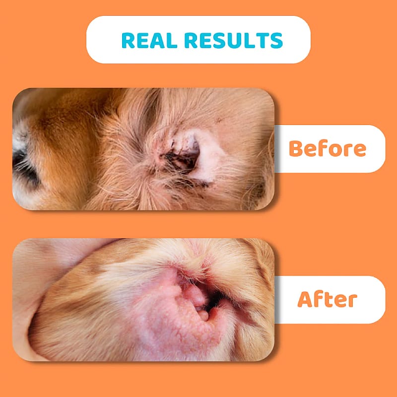 DogsLife Ear Wipes Hond 50 stuks