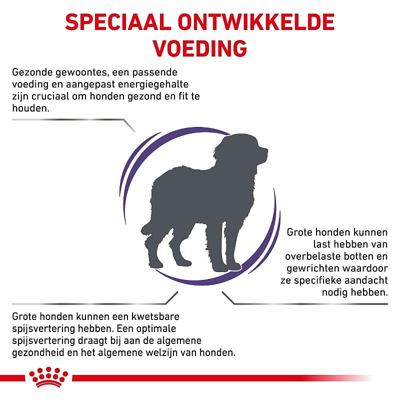 Royal Canin Adult Large Dog 4 kg