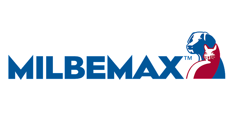 Logo, Logo