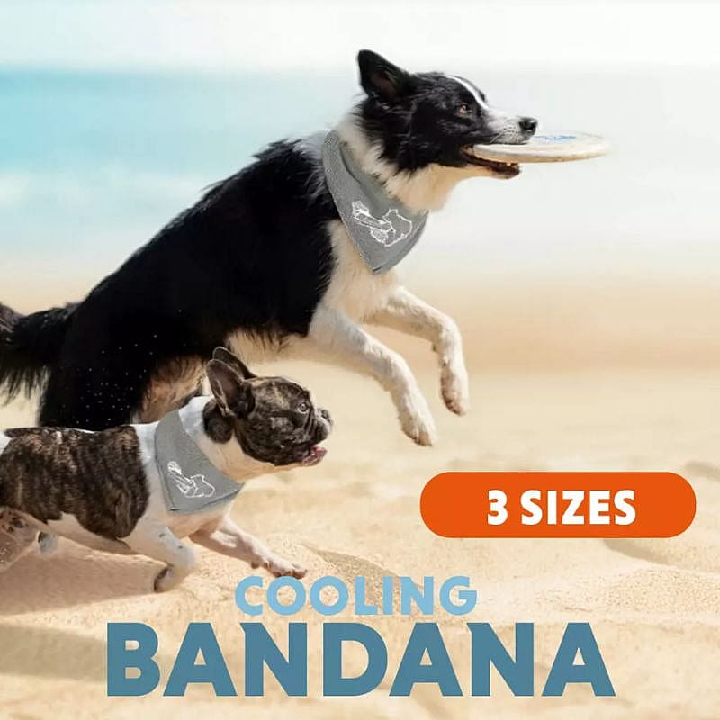 bandana, bandana hond, koelende bandana, huisdier accessoire, zomer