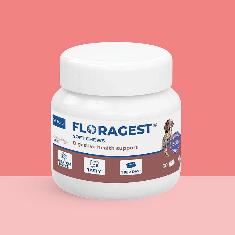 voedingssupplement, soft chews, digestieve ondersteuning, bonenachtig flesje, honden supplement