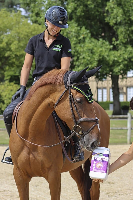 Audevard Ekygard+ Maag Stress Paard