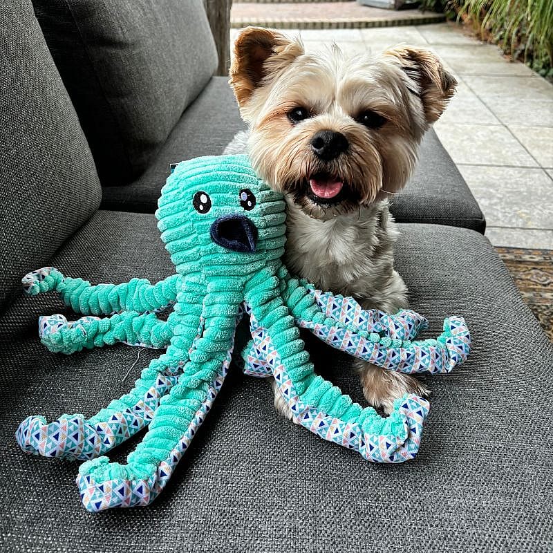 Great & Small Cuddle Me Knots Octopus
