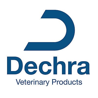 Logo, Logo