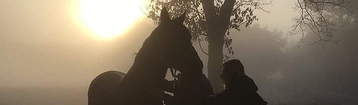 Equine Polyneuropathie paard